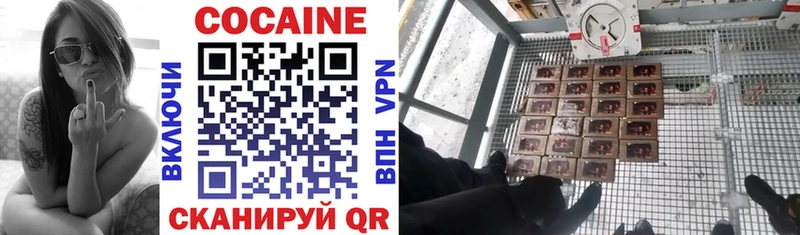 Cocaine Эквадор  hydra как зайти  Сенгилей  закладки 