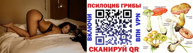 Псилоцибиновые грибы мицелий Сенгилей